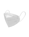 Head Protection