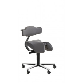 Model 3660 ESD