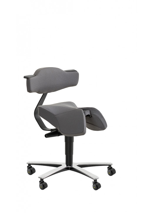 Model 3660 ESD
