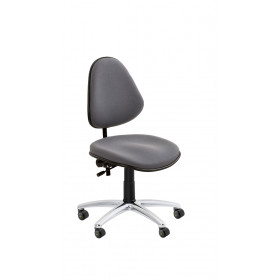 Model 5004 ESD