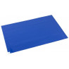 Cleanroom Decontamination Sticky Mats – Pack of 10 – Eurostat