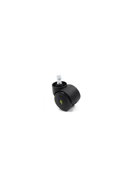 Castors